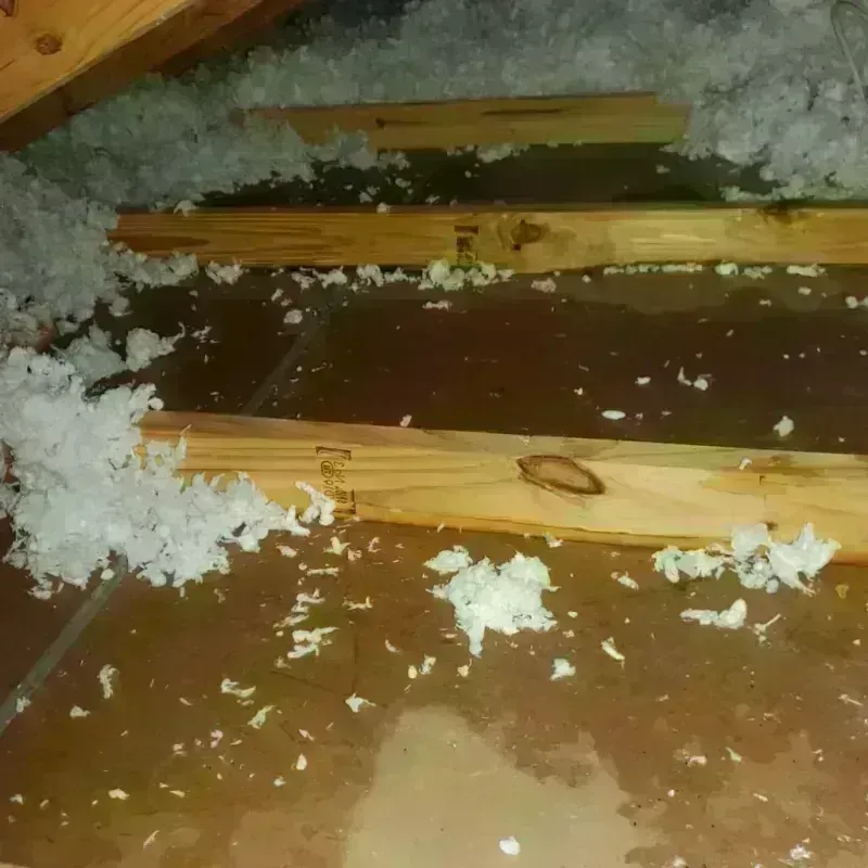 Attic Water Damage in Connell, WA