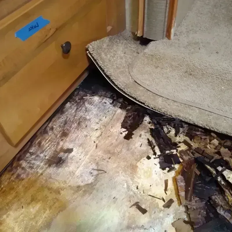 Wood Floor Water Damage in Connell, WA